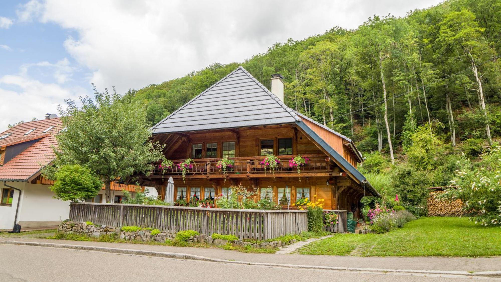 ミュンスタータールHaus Miriamアパートメント エクステリア 写真