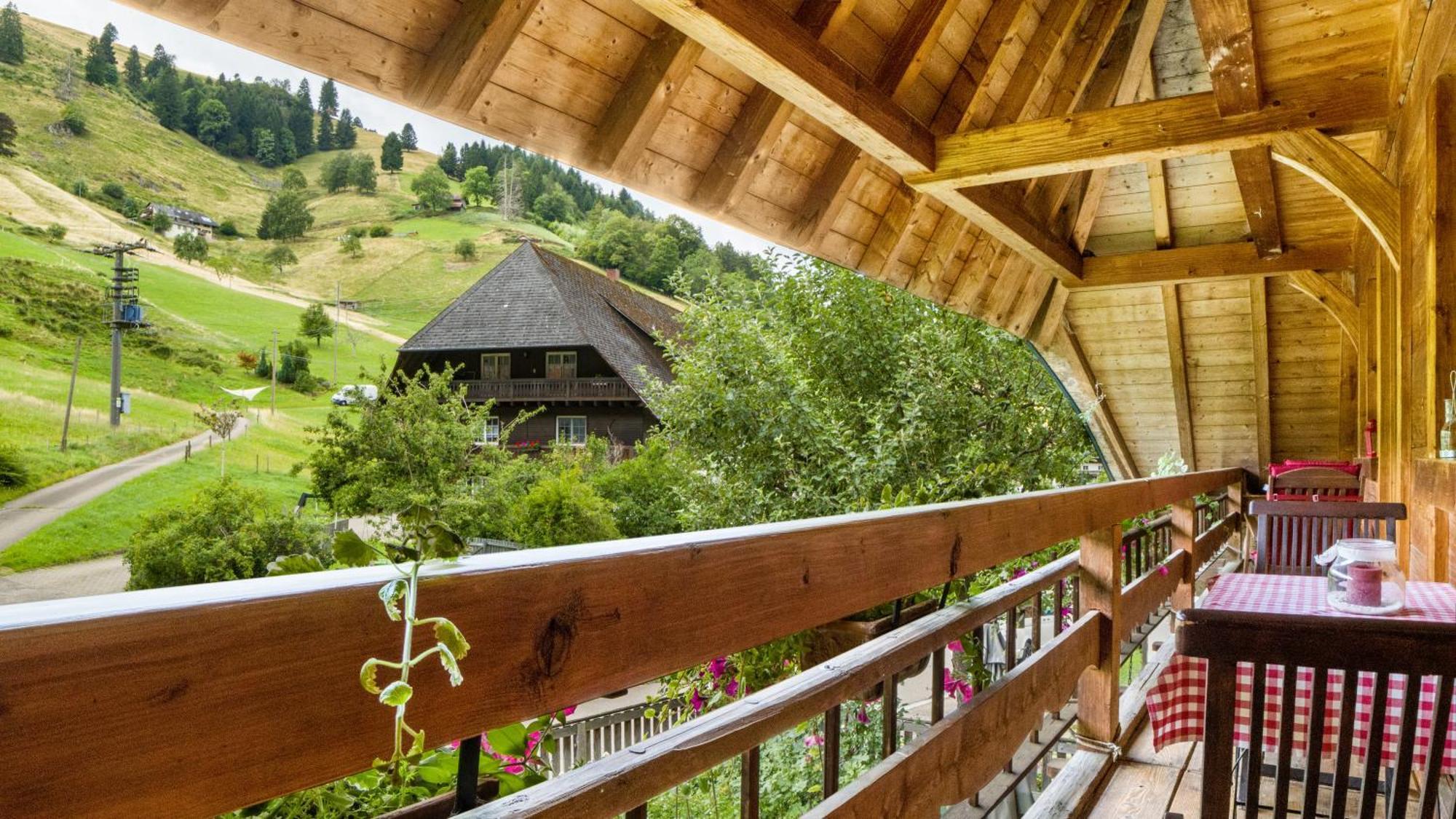 ミュンスタータールHaus Miriamアパートメント エクステリア 写真