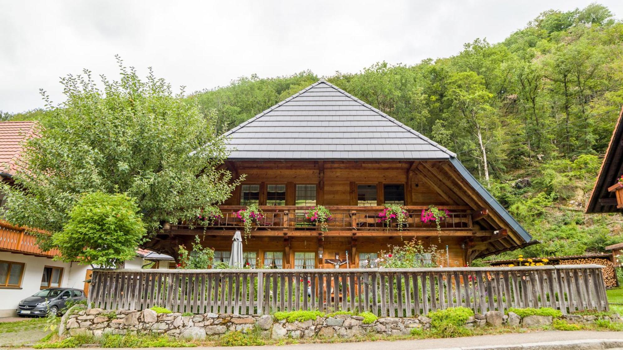 ミュンスタータールHaus Miriamアパートメント エクステリア 写真